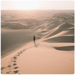endless desert